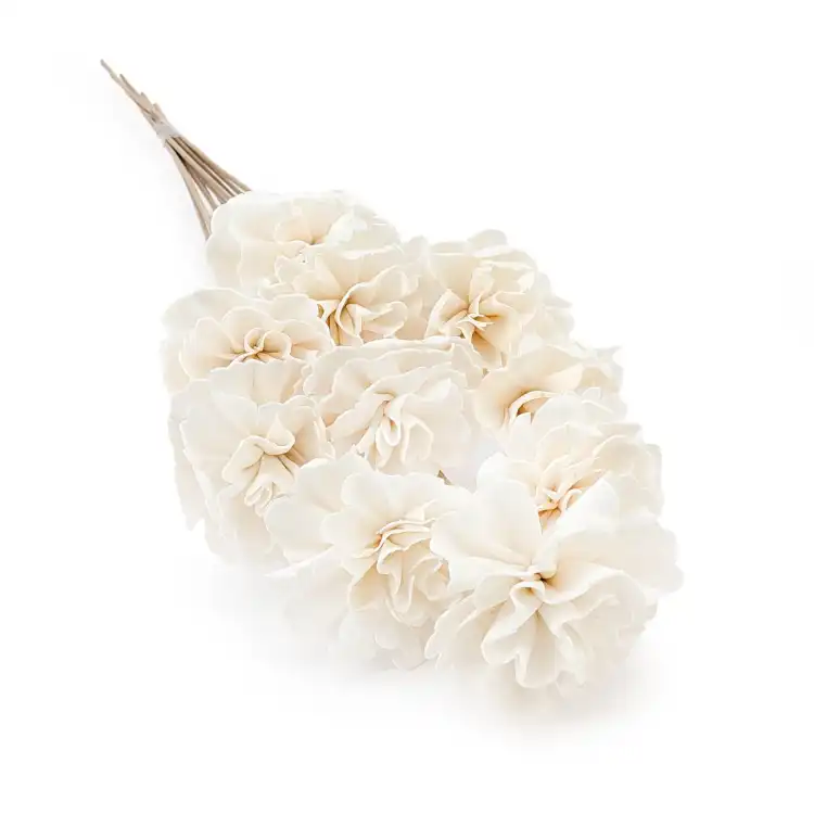 Shola - sola - Carnation bukiet 10szt.png