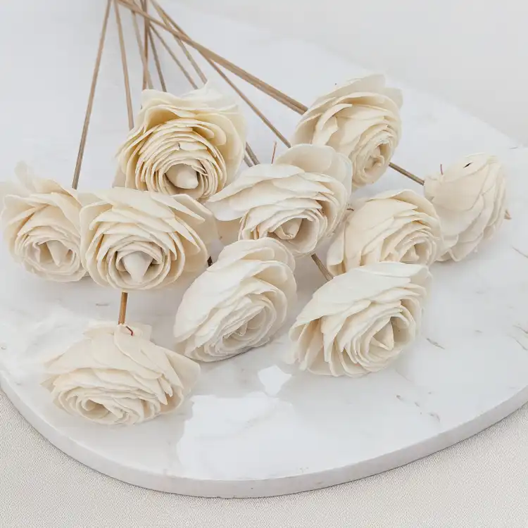 Shola Beauty Rose 1.png