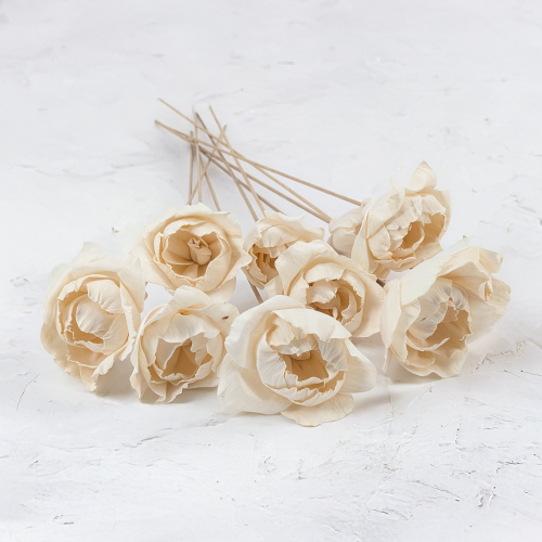 Shola Peony 3.png