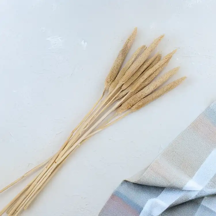 Babla Stick 3.png