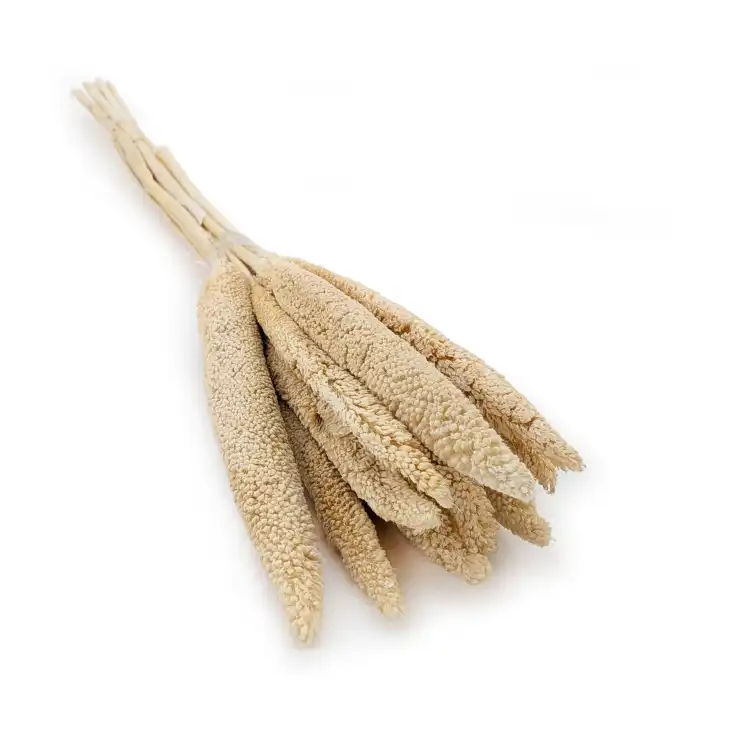 Babla Stick.png