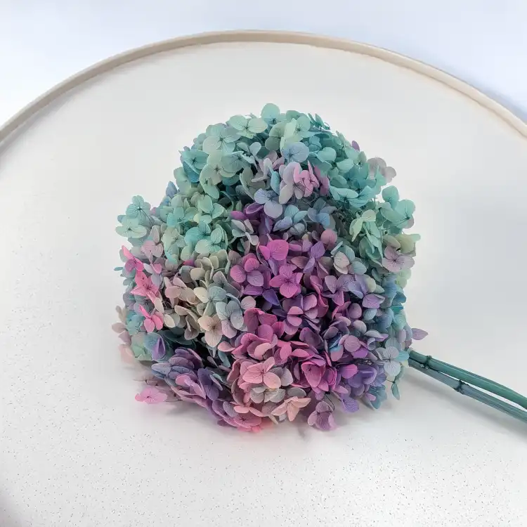 Hydrangea two tone Green 2.png