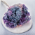 Hydrangea Royal two tone violet 1.png