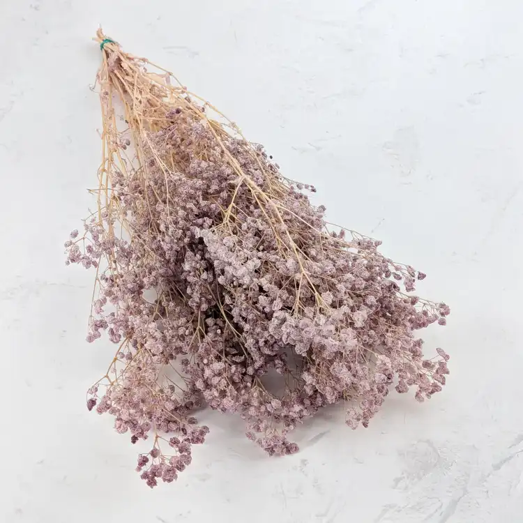 Gips dusty lavender 13 bb 1.png