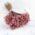 Glixia pink IT 1.png