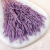 Owies fiolet 2.png