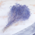Gips mini lila 3.png