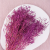 Statice Marine Lila I 4.png