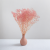 Gips BB soft pink 03 4.png