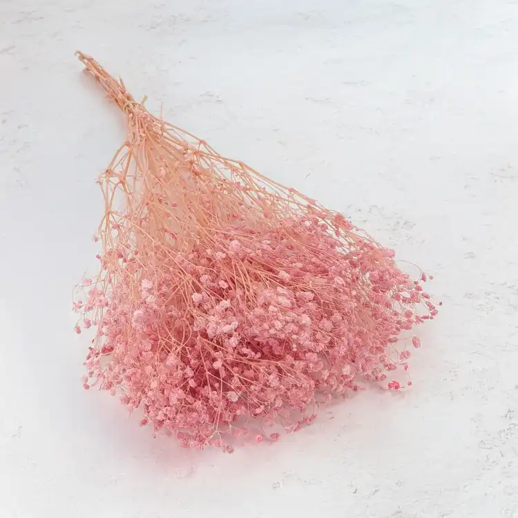 Gips BB soft pink 03 5.png