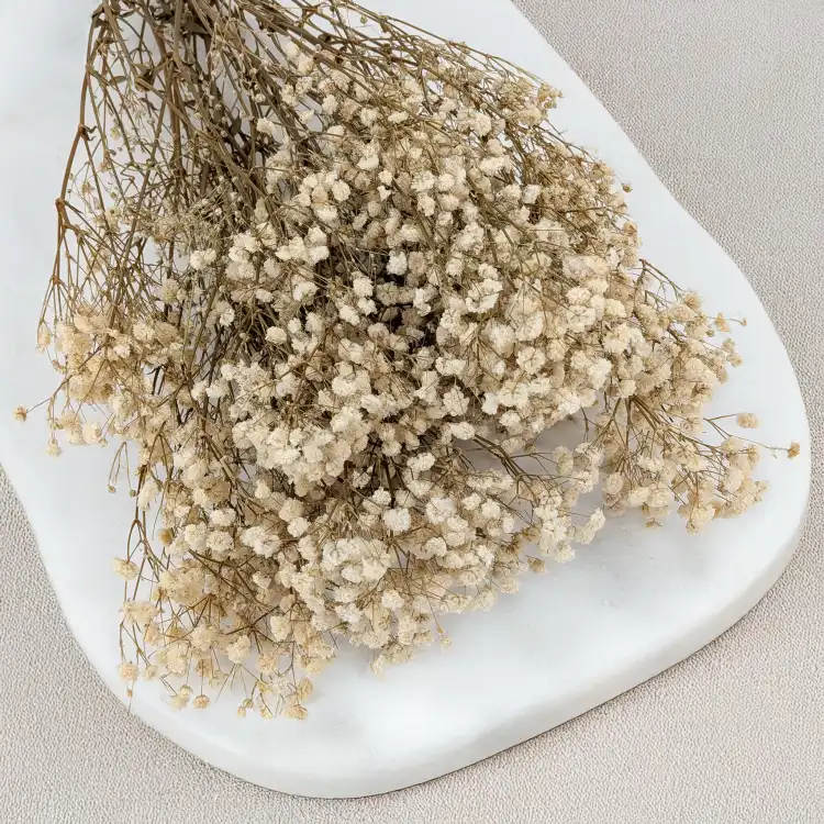 gips royal naturalna 2.png