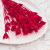 Nigella czerwona 3.png