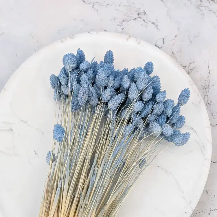 Kanar niebieski 4.png