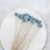 craspedia lt blue it 4.png