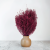 lepidium bordowe 3.png