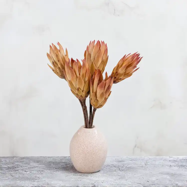 Repens red tips 5.png