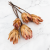 Repens red tips 1.png