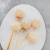 Plumosum Bleached 4.png