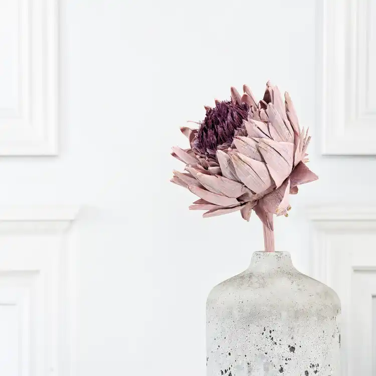 Karczoch suszony – Artichoke – Frosted Rose – 1szt_3.png