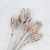 repens ww 5.png