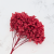 Hydrangea Burgund Royal 4.png