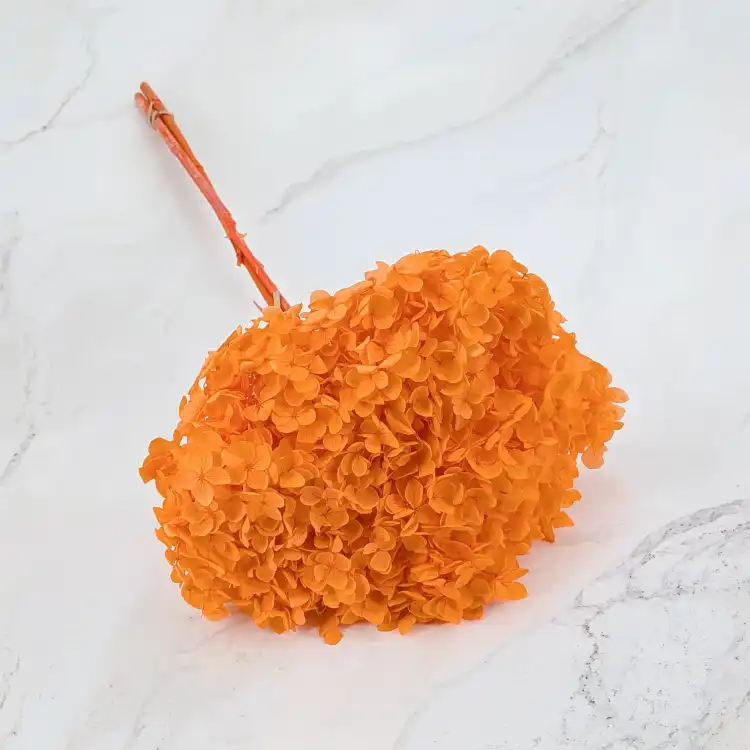 HYDRANGEA PUMPKIN ORANGE COLOR BHYS-11 1.png