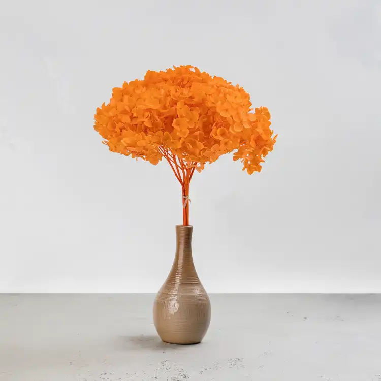 HYDRANGEA PUMPKIN ORANGE COLOR BHYS-11 6.png
