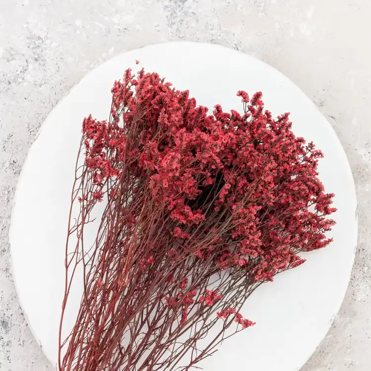 CASPEA 12 RUBY RED 4.png
