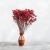 CASPEA 12 RUBY RED 6.png