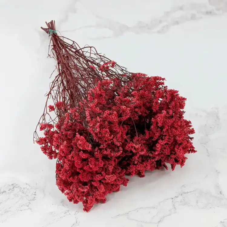 CASPEA 12 RUBY RED 1.png