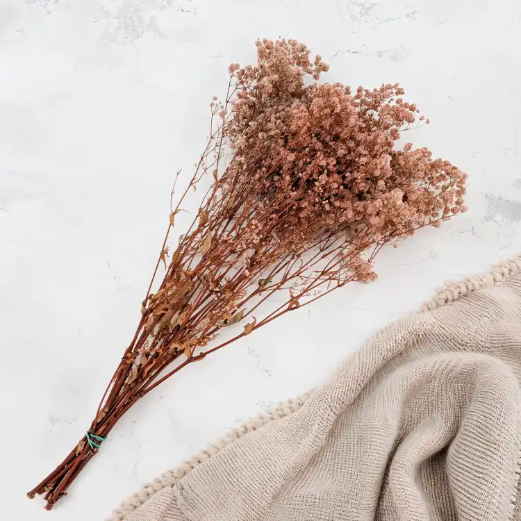Gips Royal Nude pink 3.png
