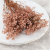 Gips Royal Nude pink 2.png