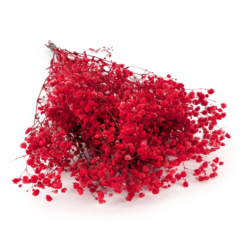 Preserved Gypsophila Deep Red Gipsówka Stabilizowana Głęboka czerwień.png