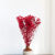 Preserved Gypsophila Deep Red Gipsówka Stabilizowana Głęboka czerwień_4.png