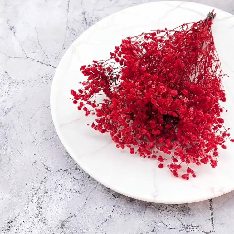 Preserved Gypsophila Deep Red Gipsówka Stabilizowana Głęboka czerwień_1.png