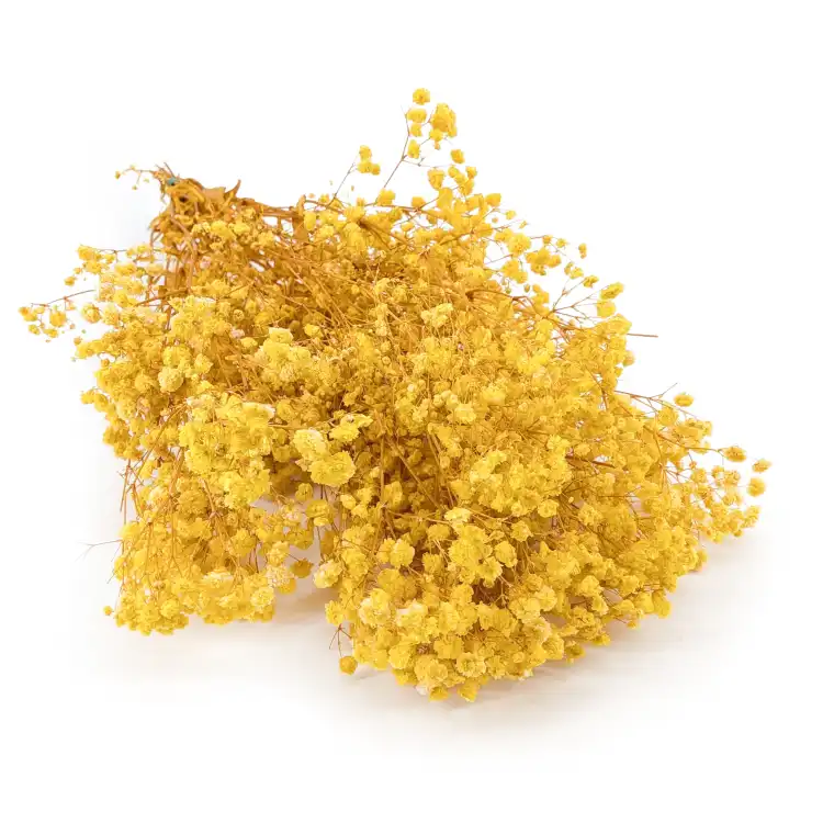Preserved Gypsophila Lemon Cream Gipsówka Stabilizowana Krem Cytrynowy.png
