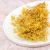 Preserved Gypsophila Lemon Cream Gipsówka Stabilizowana Krem Cytrynowy_4.png