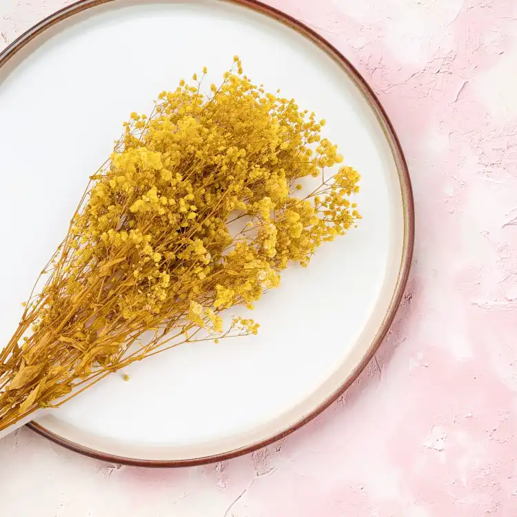 Preserved Gypsophila Lemon Cream Gipsówka Stabilizowana Krem Cytrynowy_3.png