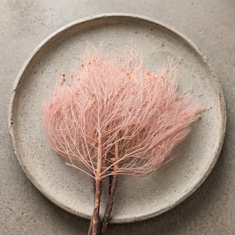 Trawa marzeńdream grass PINK_1.png
