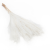 Trawa Miskant Bielona Miscanthus Grass Bleached.png