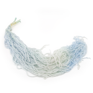 Amaranthus Szarłat Bielony blekitny ombre_1.png