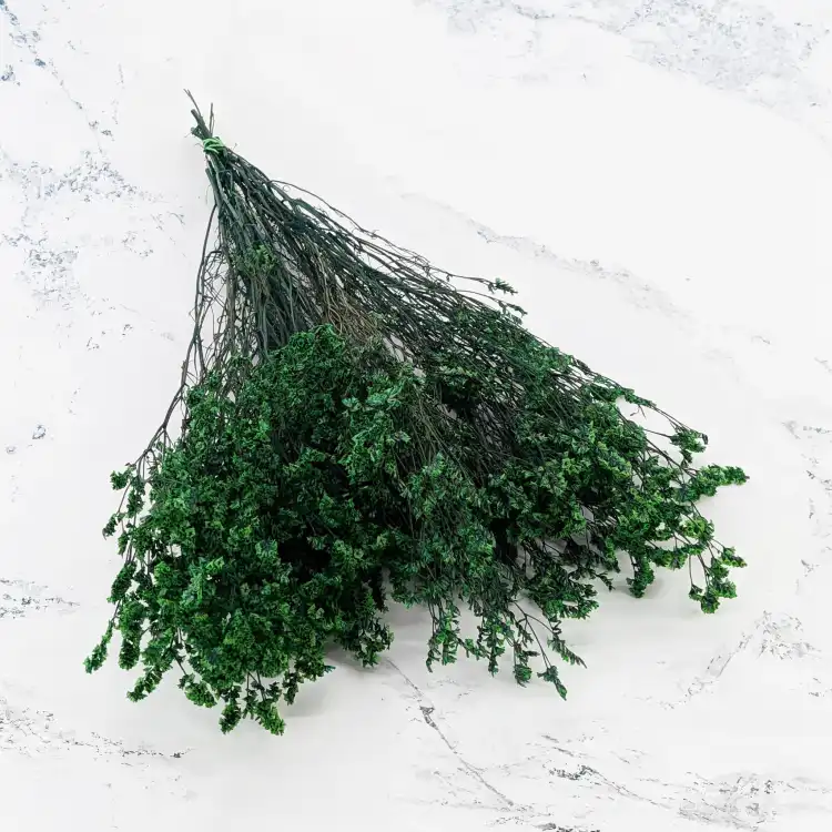 caspea Deep green 14 1.png