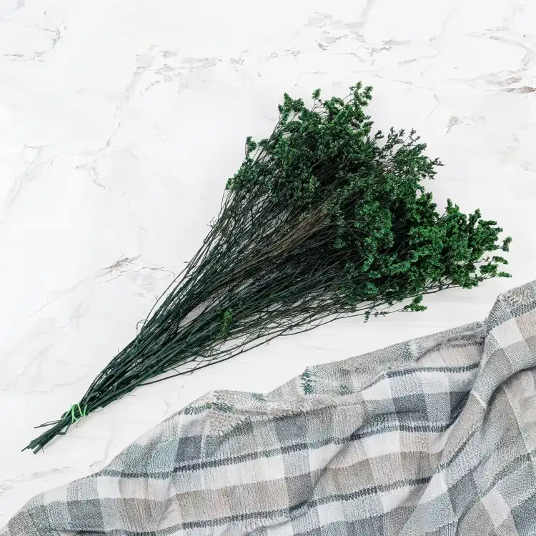 caspea Deep green 14 3.png