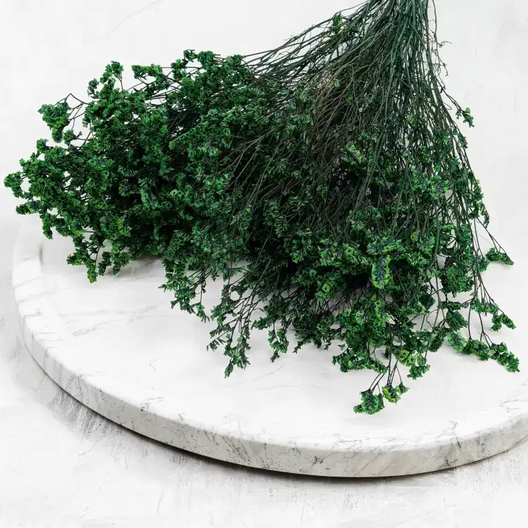 caspea Deep green 14 4.png