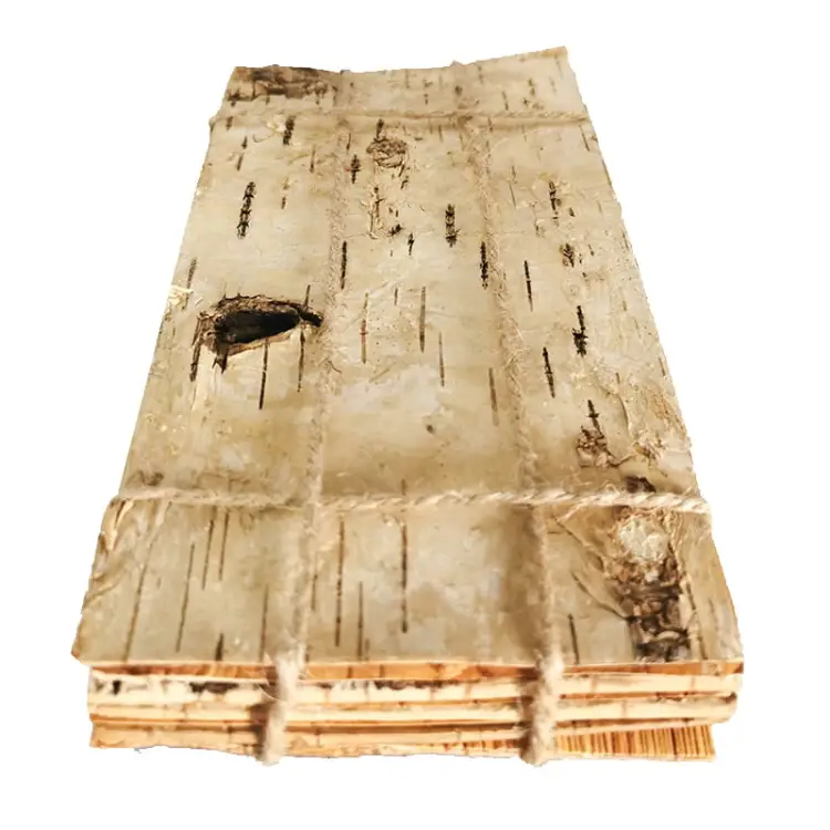 Płaty Brzozowe 20 x 10 cm 1.jpg