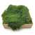 Plaski mech Stabilizowany Ciemnoziel swe.jpg