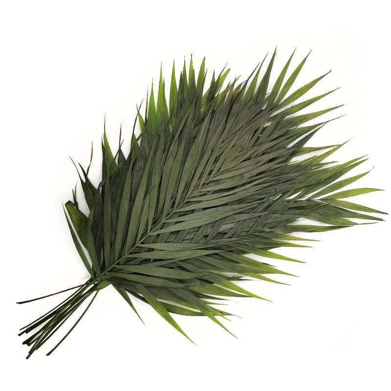 Preserved Palm - Chico Palm - bouquet