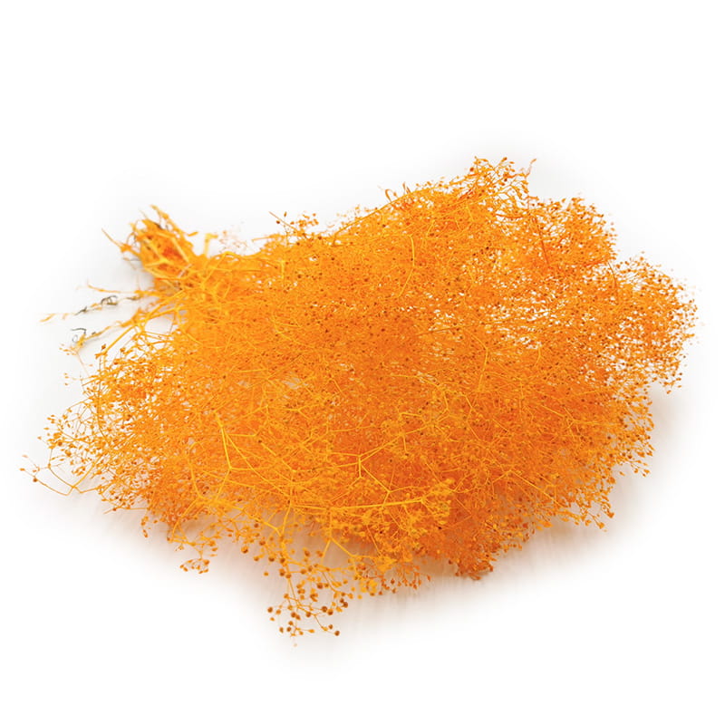 Preserved Small Gypsophila - Baby's Breath - Ochra