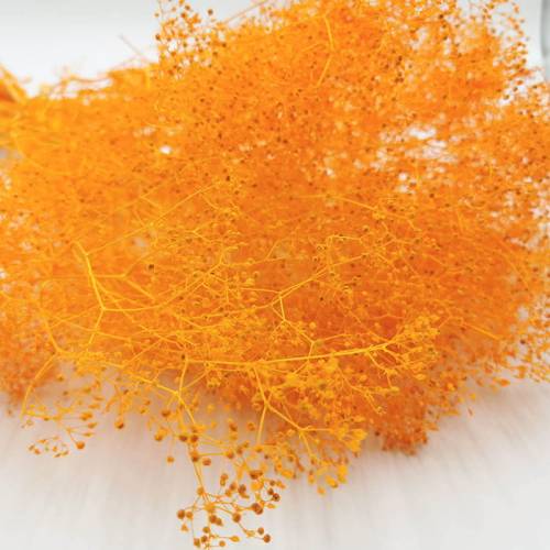 Gipsówka Mini Ochra stabilizowana.jpg