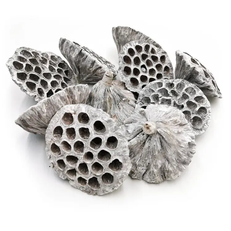 Lotos Extra Large White Washed 10szt.jpg